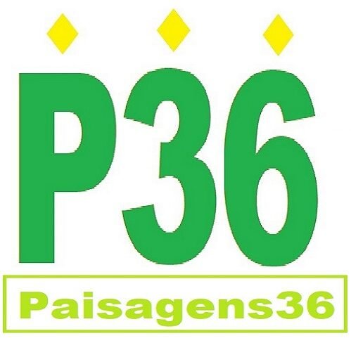 Filmadoras Usadas Sony Panasonic e Canon